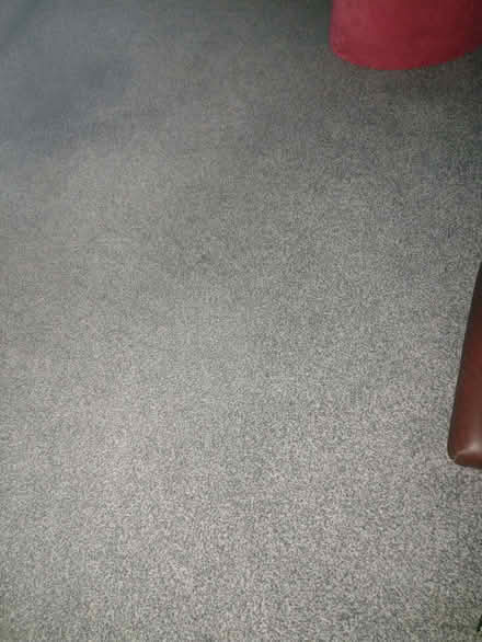 Photo of free Grey carpet 4+ years old (Alresford CO7) #1