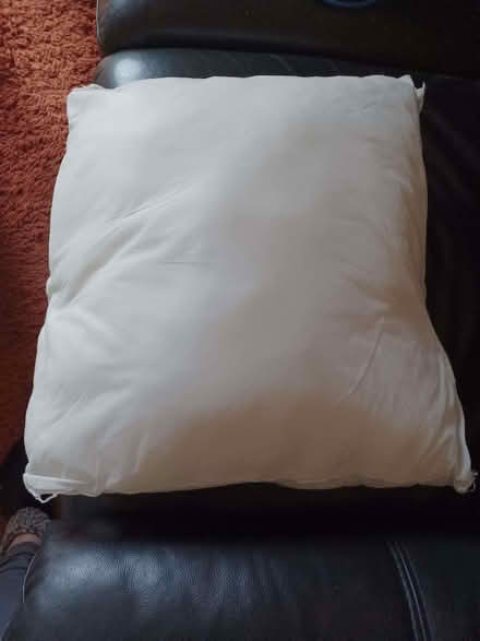 Photo of free Cushion inserts x 4 (Kenilworth CV8) #2