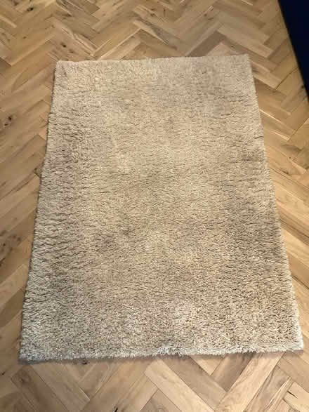 Photo of free Cream Shaggy Rug (North Shields Fish Quay NE29) #1