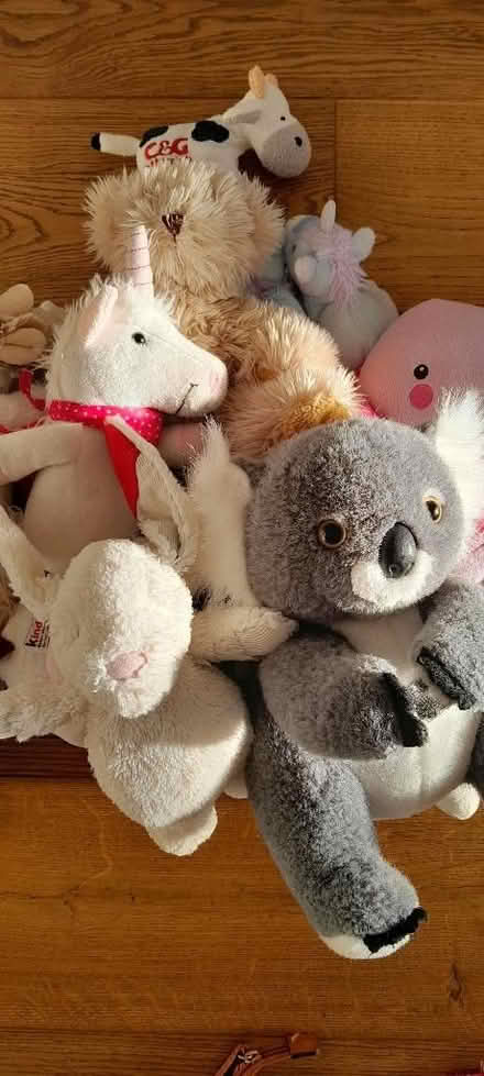 Photo of free Soft Toys (Slyne-with-Hest LA2) #2