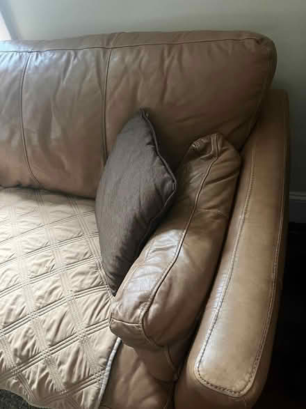 Photo of free Leather couch free with cover (Cherrydale area N Arlington) #2