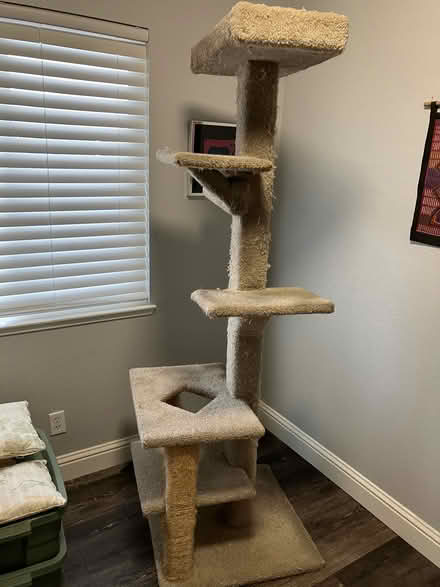 Photo of free Large cat tree, well used (North Sunnyvale) #1