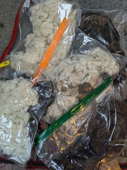 Photo of free Clean natural fleece for felting (Halton LA2) #1