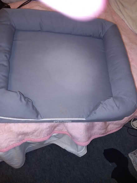 Photo of free Quality Dog Bed (Totnes) #1