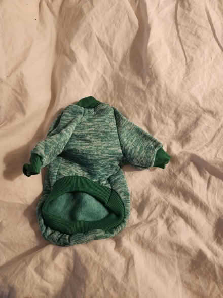 Photo of free Pet sweater green size Small (Capitol Hill, DC) #1