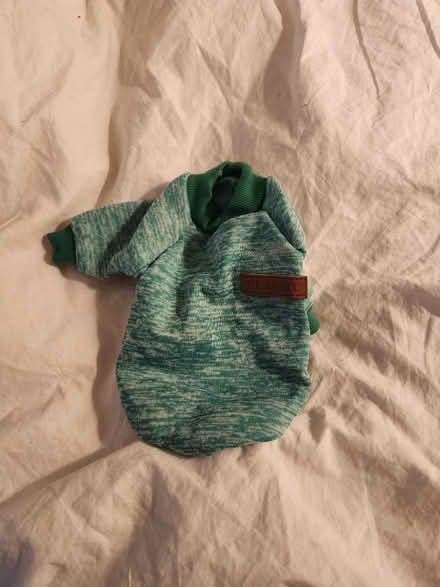 Photo of free Pet sweater green size Small (Capitol Hill, DC) #2