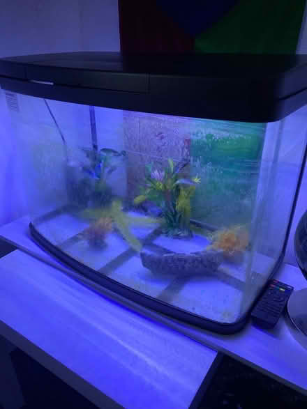 Photo of free Fish tank (South Woodford) #2