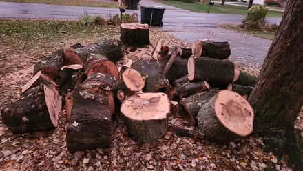 Photo of free Wood - ready to split for firewood (Northern Sycamore Township) #1