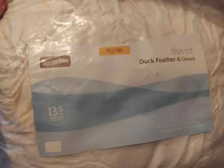 Photo of free King size Feather and down duvet (Ingol PR2) #1