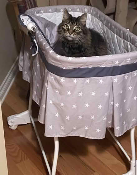 Photo of free Baby bassinet (South Keys) #1