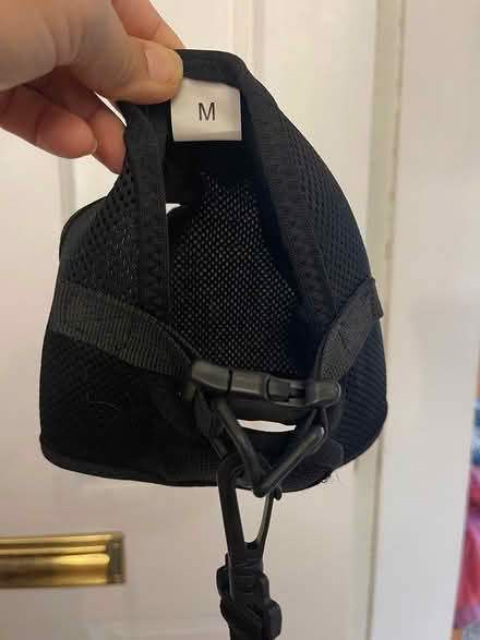 Photo of free Small Pet Harness (Arlington near Turkey Hill) #2