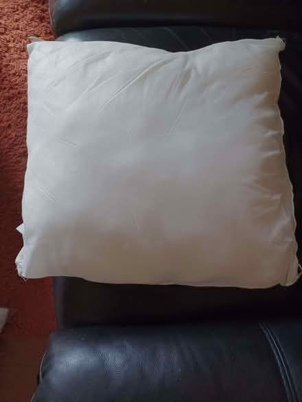 Photo of free Cushion inserts x 4 (Kenilworth CV8) #1