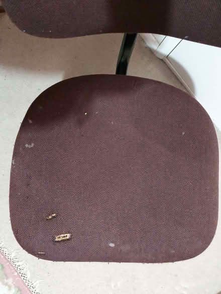 Photo of free Button-back office chair with castors - brown (St Pauls Ward GU15) #2