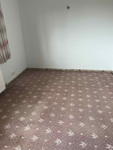 Photo of free Carpet and underlay (Moortown LS17) #2