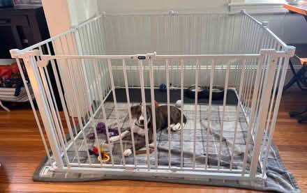 Photo of free 2 puppy (/small animal) pens (West Roxbury) #2