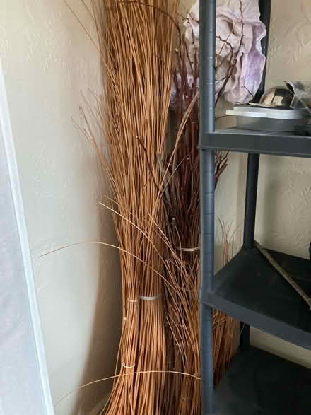 Photo of free Basket weaving supplies (Blackheath, B65) #1