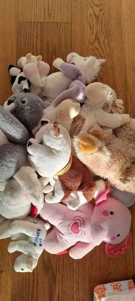 Photo of free Soft Toys (Slyne-with-Hest LA2) #1