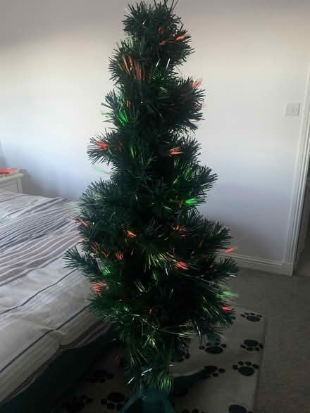 Photo of free Light up Christmas tree (Loanhead EH20) #1