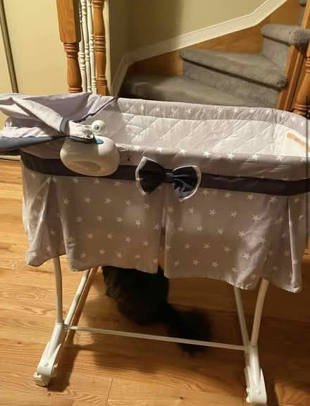 Photo of free Baby bassinet (South Keys) #2