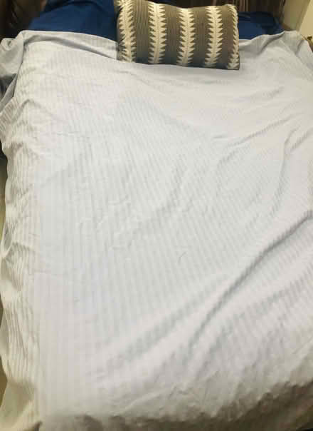 Photo of free Duvet / blanket (Glendale Heights) #2