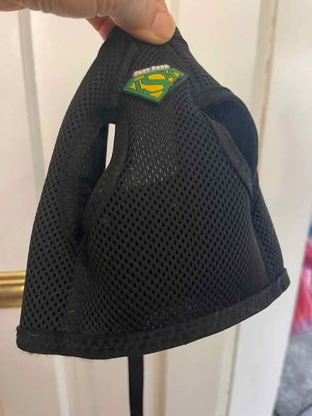 Photo of free Small Pet Harness (Arlington near Turkey Hill) #1