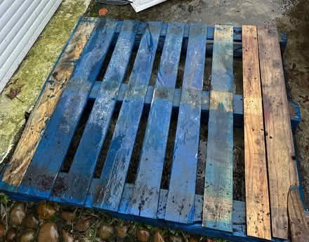 Photo of free Wooden pallet (CO1) #1