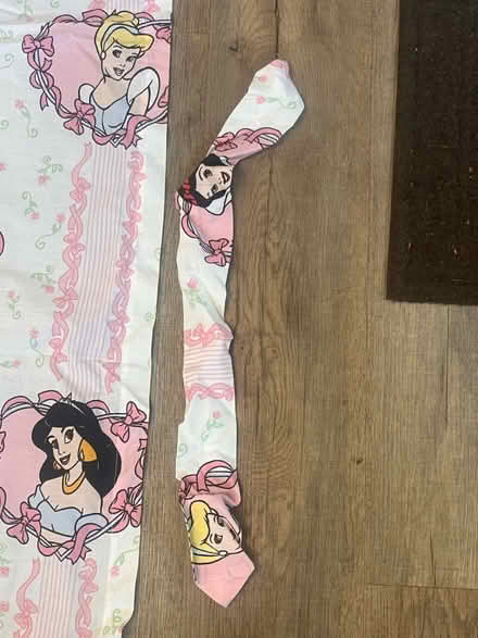 Photo of free Disney princess window curtains (North Granby, CT) #3