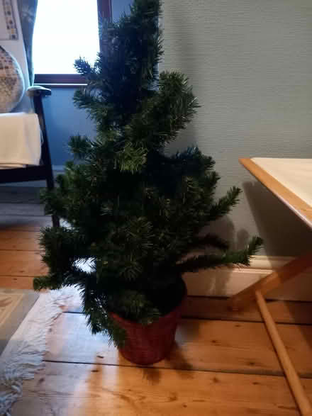 Photo of free Small artificial Christmas tree (central Frome) #1