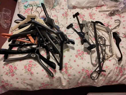 Photo of free Plastic coat hangers (Isleworth) #1