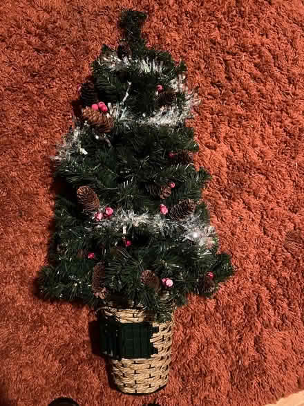 Photo of free Wall hanging Christmas tree (Leicester LE2) #1