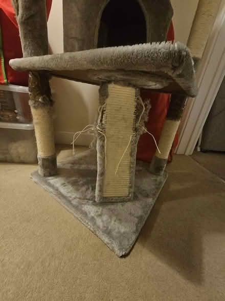 Photo of free Large Cat Tree (Billingshurst) #2