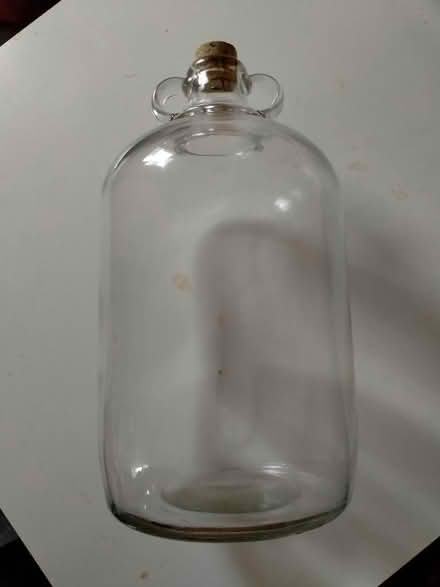 Photo of free Demijohn (CT10) #1