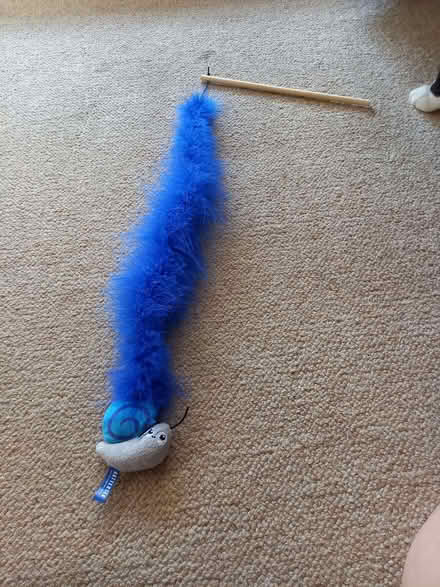 Photo of free Cat Toy (Cotham Ward BS6) #1