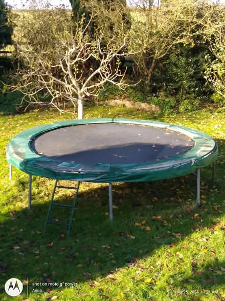 Photo of free Large round trampoline (MK19) #1