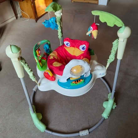 Photo of free Jumperoo (OX4 Rose Hill) #1
