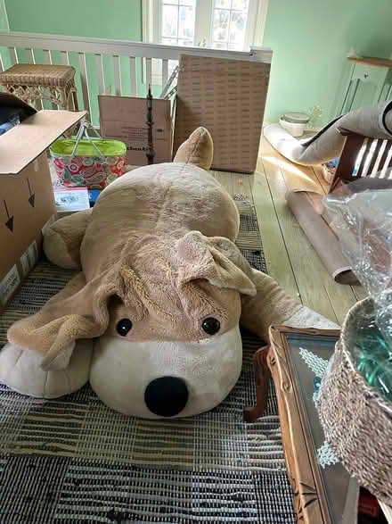 Photo of free Large stuffed dog (Mt Pleasant PA) #2