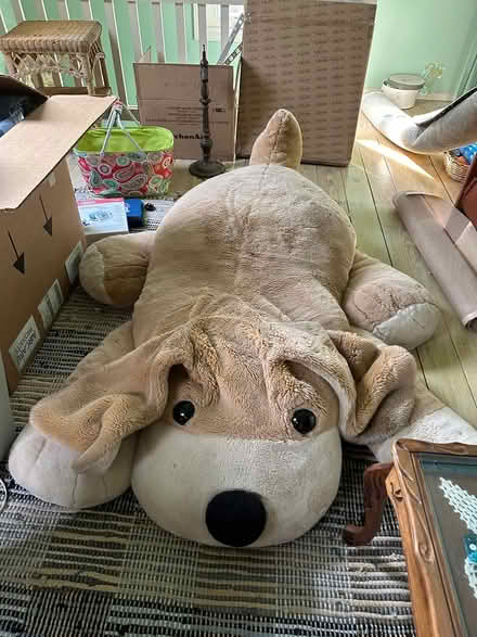 Photo of free Large stuffed dog (Mt Pleasant PA) #1