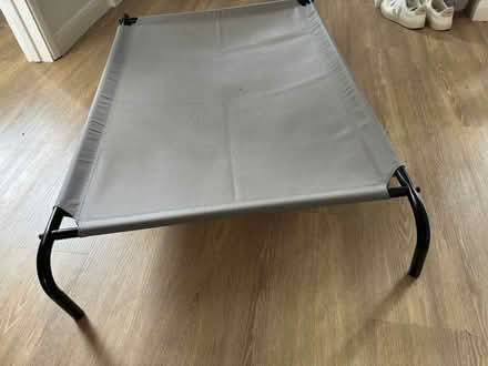 Photo of free Raised dog bed (Top Amersham HP6) #1