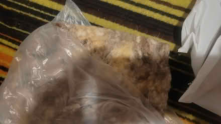 Photo of free Wool insulation packaging (Bucknell) #4