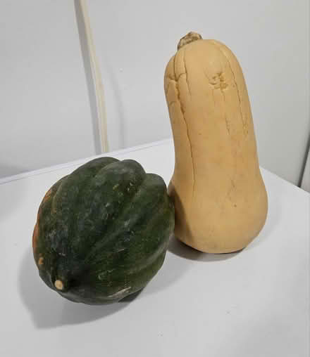 Photo of free 2 squash (South West Scarborough) #1