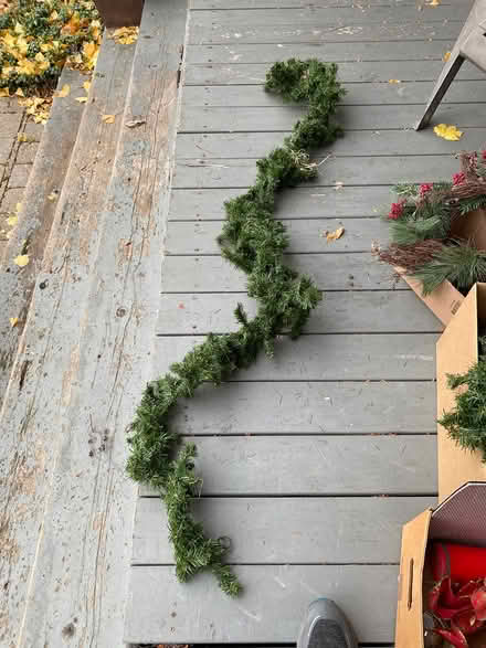 Photo of free Christmas greenery (Toronto (Christie & Davenport)) #1