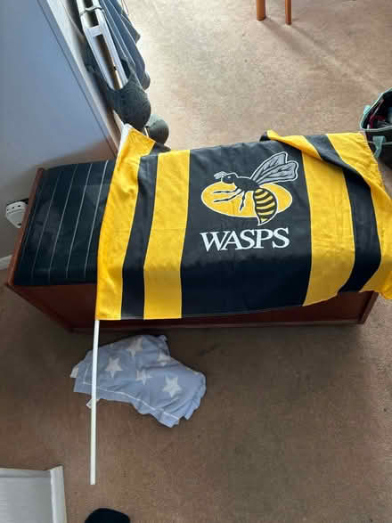 Photo of free Wasps flag (CV3) #1