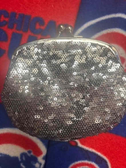 Photo of free Two sparkly little purses (South Elgin) #3