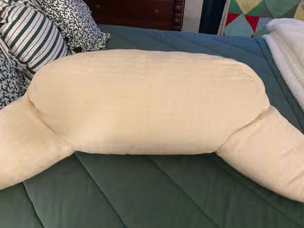 Photo of free Large Bolster/Bed Pillow (Norbeck and Layhill Roads) #3