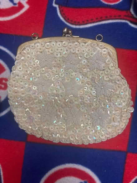 Photo of free Two sparkly little purses (South Elgin) #1