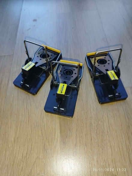 Photo of free Three mouse traps (Bear Flat) #1