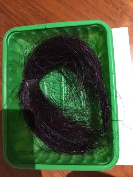 Photo of free Horse hair for crafting. (Penarth CF64) #1