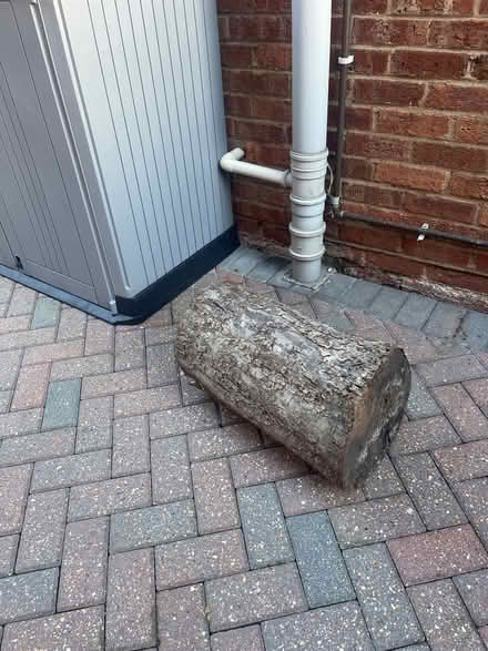 Photo of free Apple tree stump (Cheltenham) #1