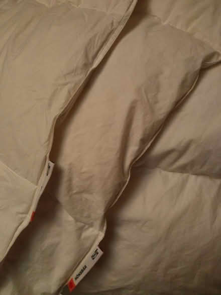 Photo of free Duvet, single size, Down (Southbourne BH6) #2