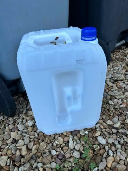 Photo of free 10 litre plastic containers x2 (Northmoor OX29) #1